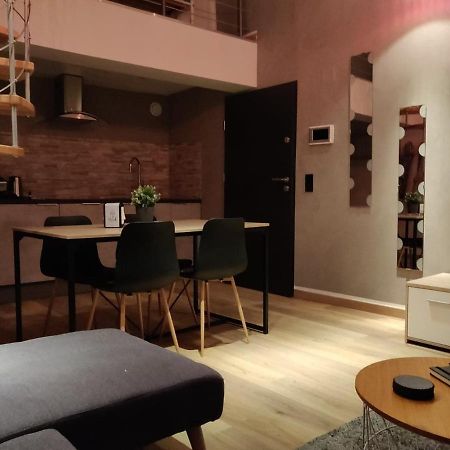 דירות סירגומין Le Business, Duplex Moderne Special Pro De Passage מראה חיצוני תמונה