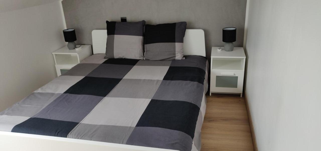 דירות סירגומין Le Business, Duplex Moderne Special Pro De Passage מראה חיצוני תמונה