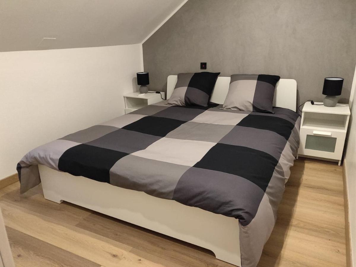 דירות סירגומין Le Business, Duplex Moderne Special Pro De Passage מראה חיצוני תמונה