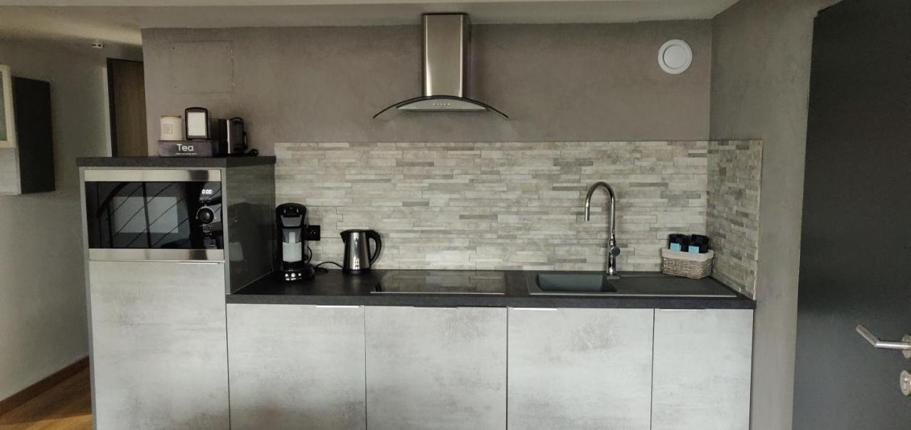 דירות סירגומין Le Business, Duplex Moderne Special Pro De Passage מראה חיצוני תמונה