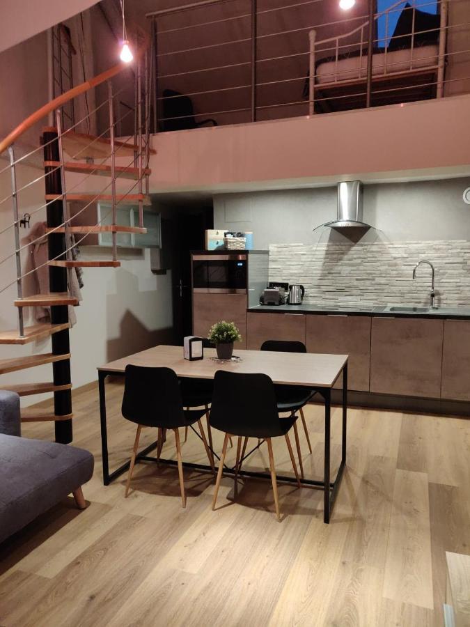 דירות סירגומין Le Business, Duplex Moderne Special Pro De Passage מראה חיצוני תמונה