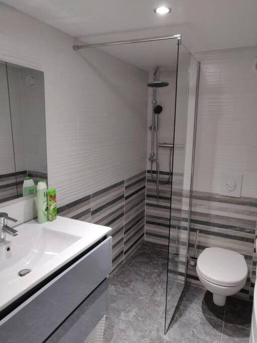 דירות סירגומין Le Business, Duplex Moderne Special Pro De Passage מראה חיצוני תמונה