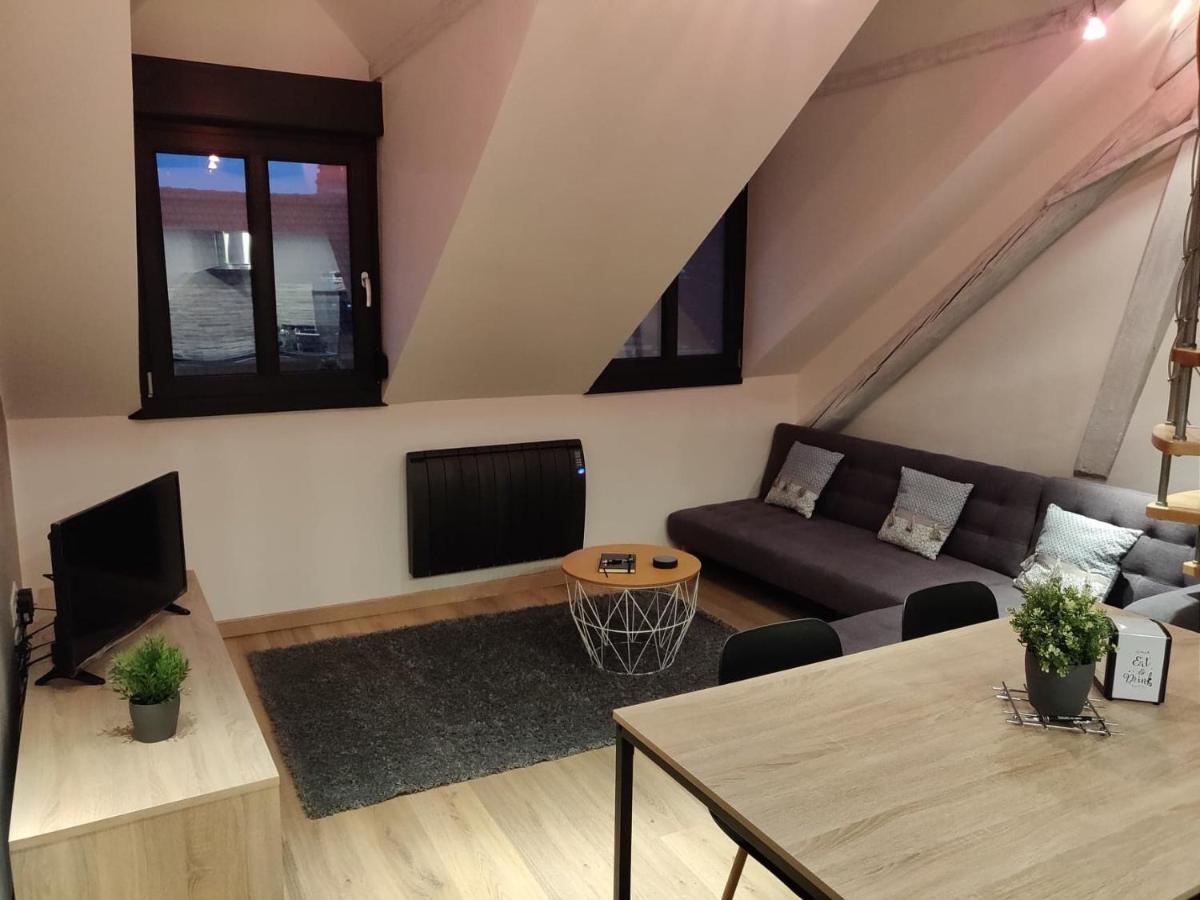 דירות סירגומין Le Business, Duplex Moderne Special Pro De Passage מראה חיצוני תמונה