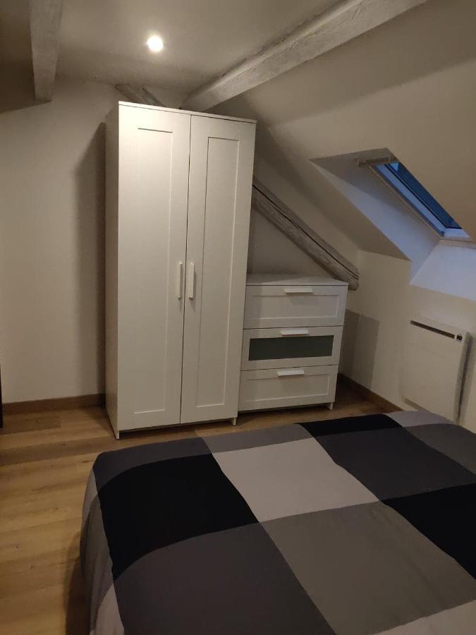 דירות סירגומין Le Business, Duplex Moderne Special Pro De Passage מראה חיצוני תמונה