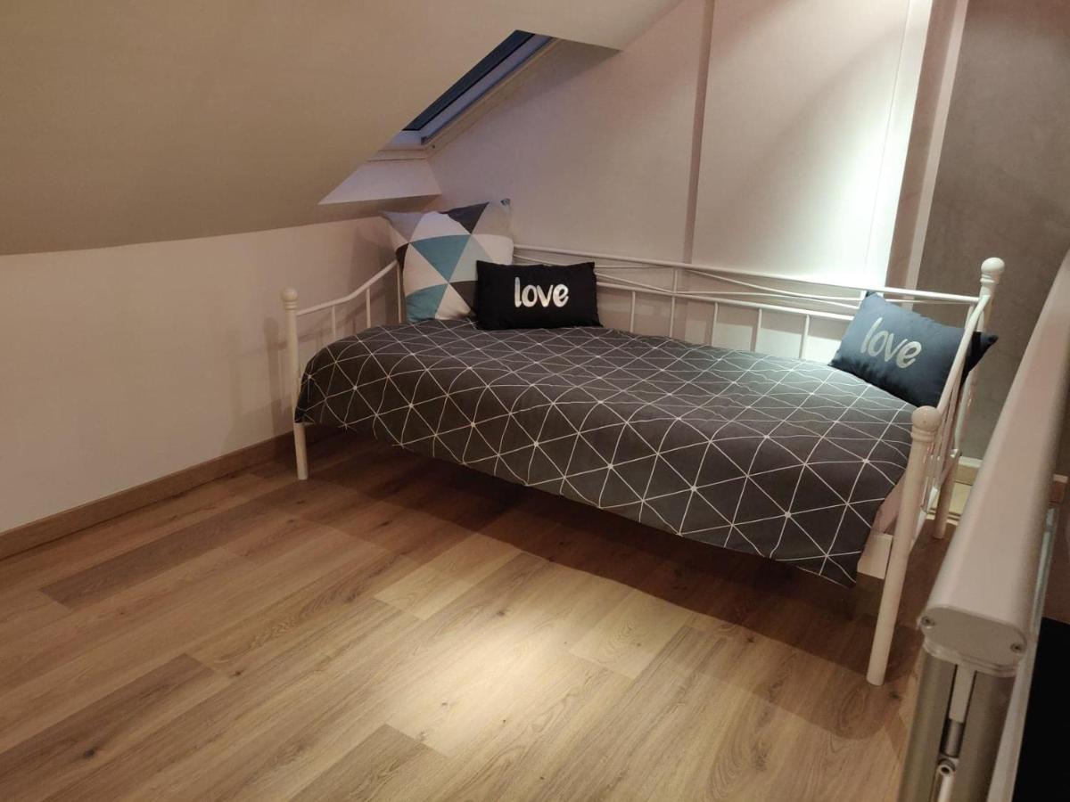 דירות סירגומין Le Business, Duplex Moderne Special Pro De Passage מראה חיצוני תמונה